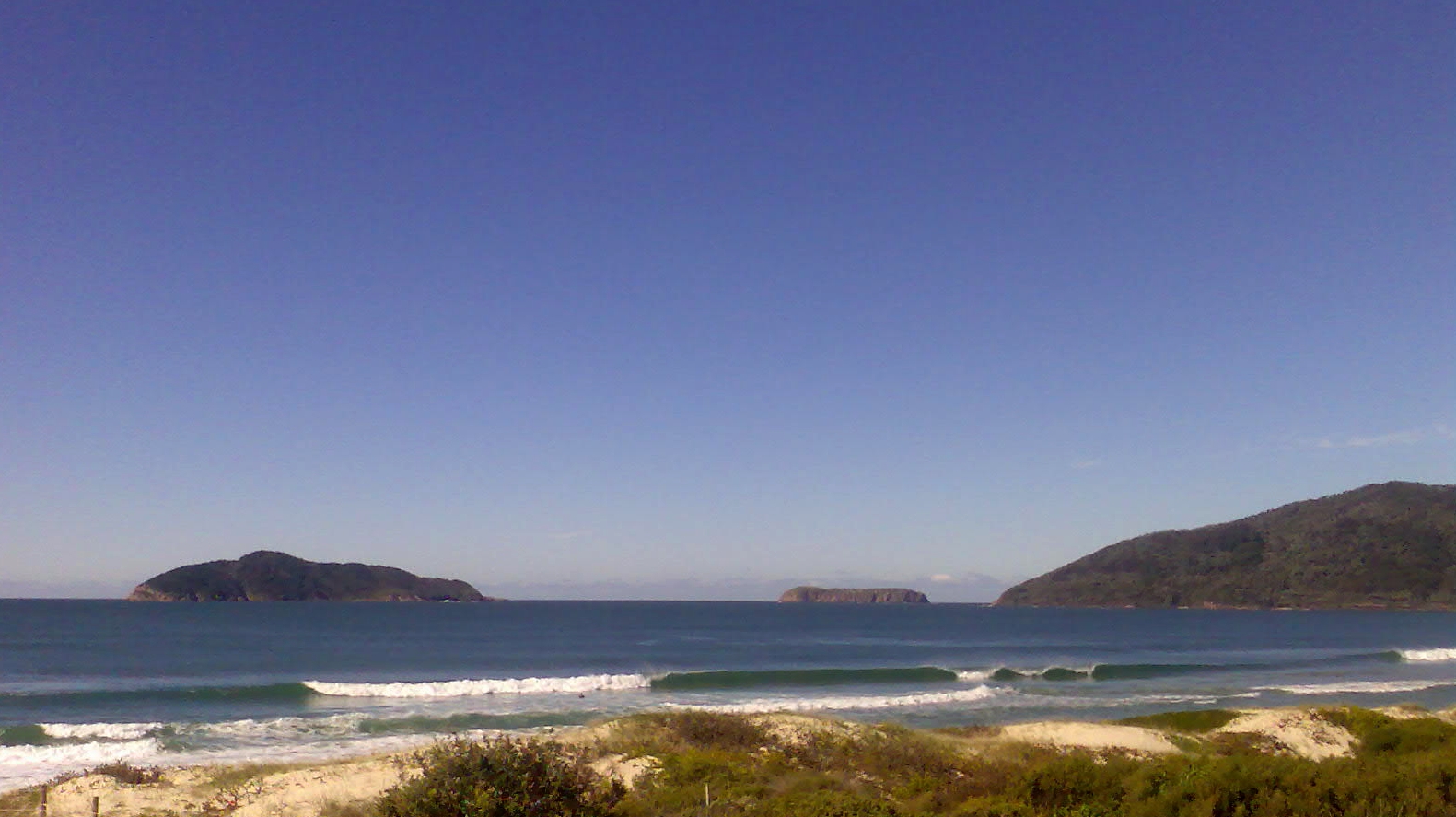 The Pulse Newcastle NSW Day Trips Hawks Nest and Tea Gardens