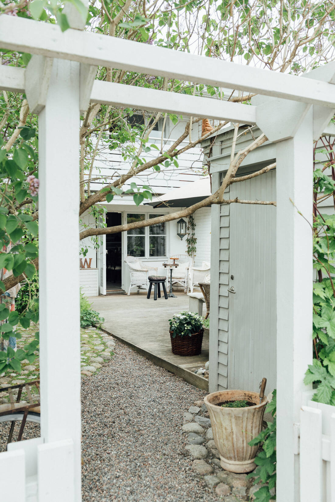 ������� ������ ����� 14927215.jpg