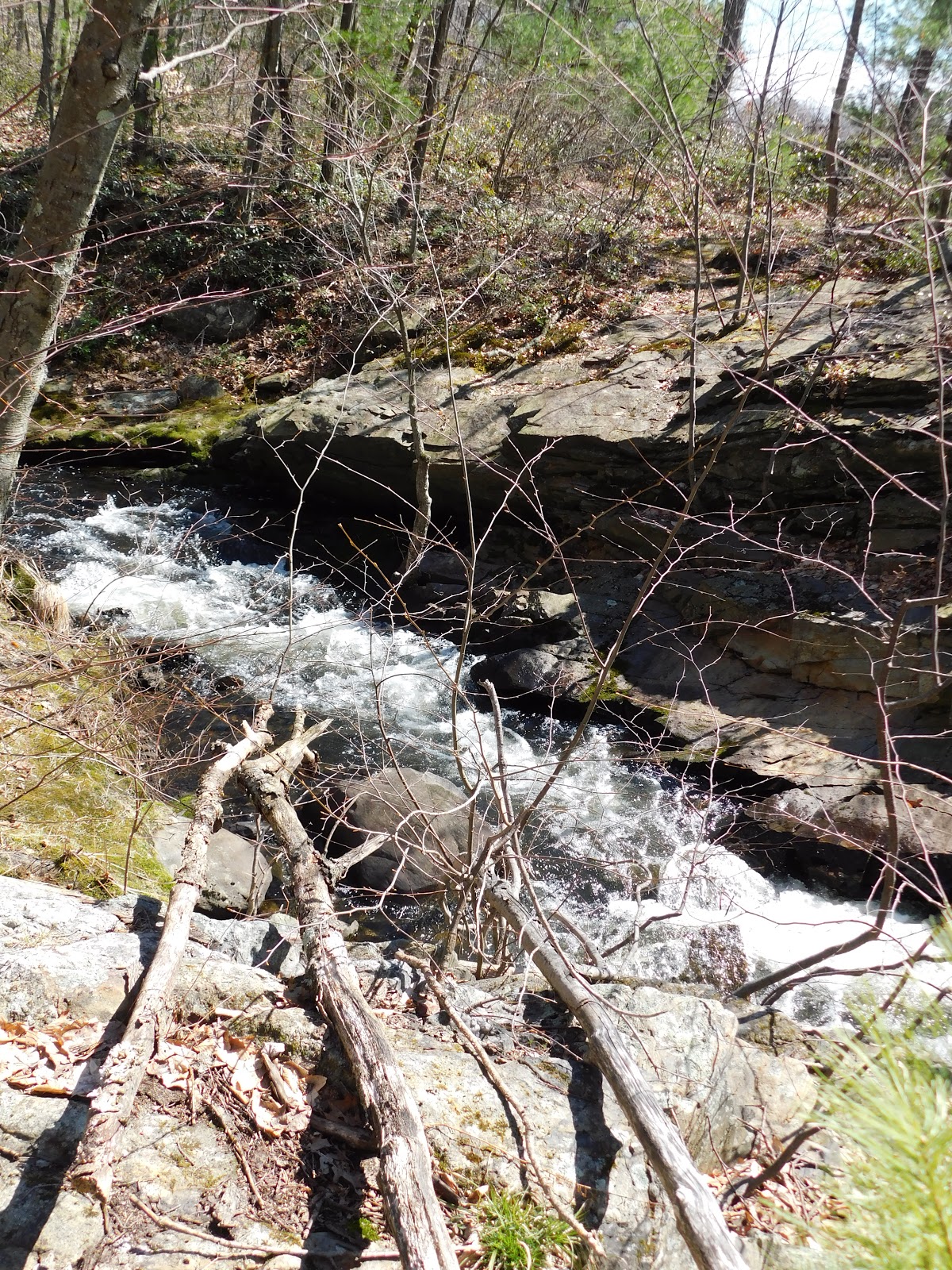 The Wayward Walker Kettle Brook Conservation Area