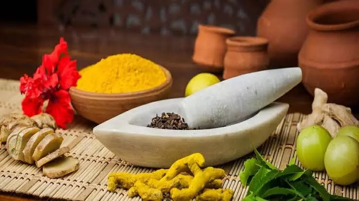 Ayurvedic Herbs to Boost Immunity | HealthInsta Ayurvedic Herbs to Boost Immunity | HealthInsta