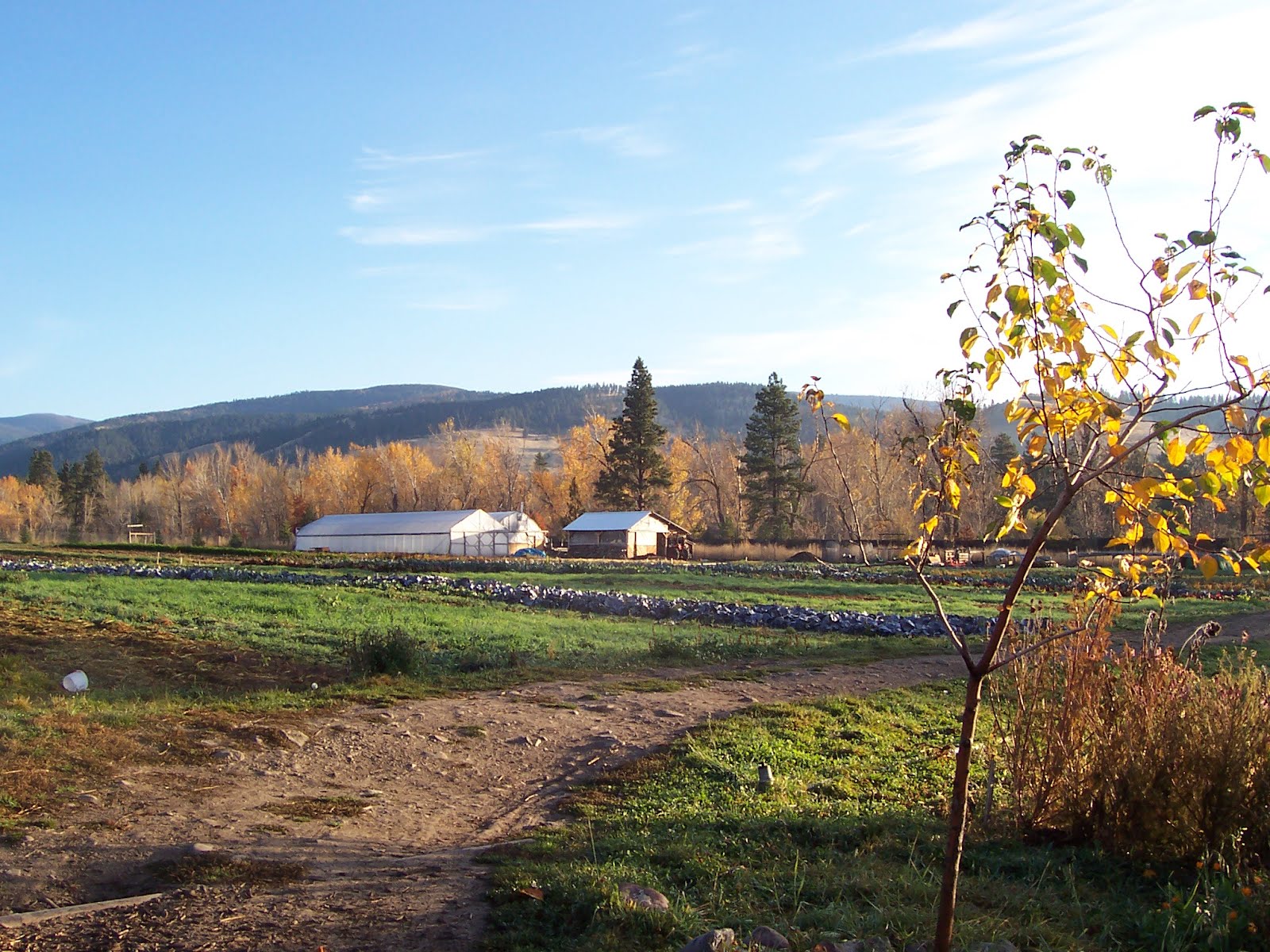 Honeyrun Farm My Time Spent at the PEAS Farm in Missoula, MT