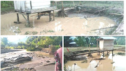  Banjir Desa Riso, Petani Budidaya Ikan Nila Merugi Jutaan Rupiah