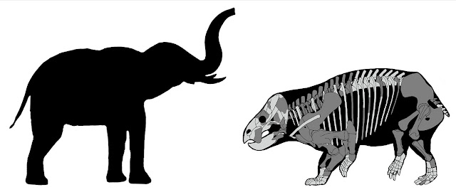 Сравнение размеров лисовиции и африканского слона. Рисунок © G. Niedzwiedzki с сайта novataxa.blogspot.com