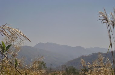 বাংলাদেশের সর্বোচ্চ চূড়া আসলে কোনটি? 