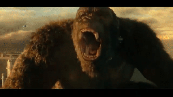 Gif: o gorila gigante King Kong rugindo e abaixando-se na beira de uma plataforma oceânica, observando o mar e rugindo para a água, quando Godzilla salta de lá para abocanhá-lo de surpresa.