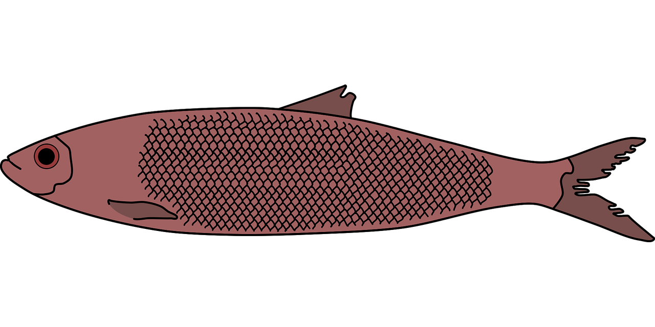 SleuthSayers red herring