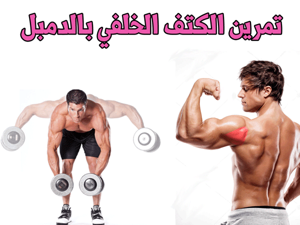 تمرين الكتف الخلفي بالدمبل