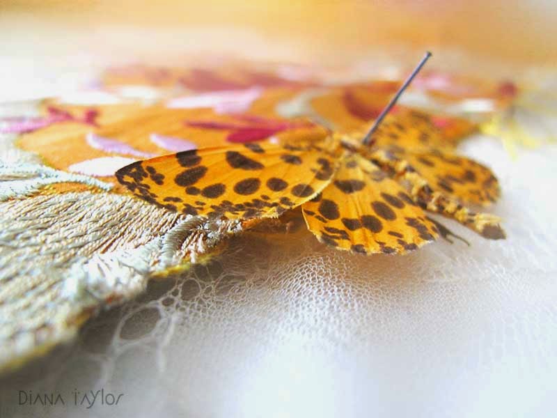 Velvet Moth Studio Decay and Repair Embroidery