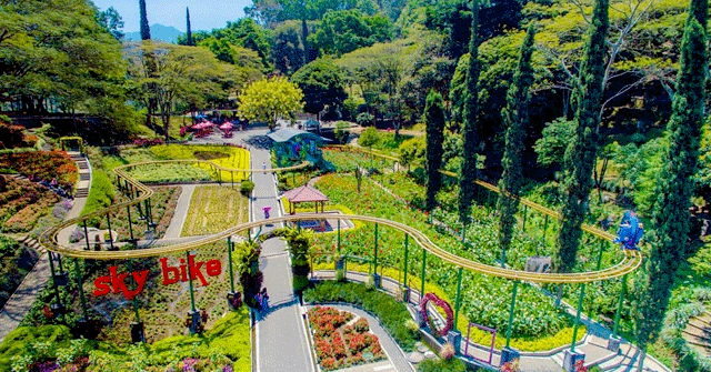 Daftar Terbaru Taman Bunga di Jawa Timur yang Pas Untuk Liburan