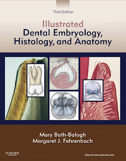 Illustrated Dental Embryology, Histology and Anatomy 3rd Edition