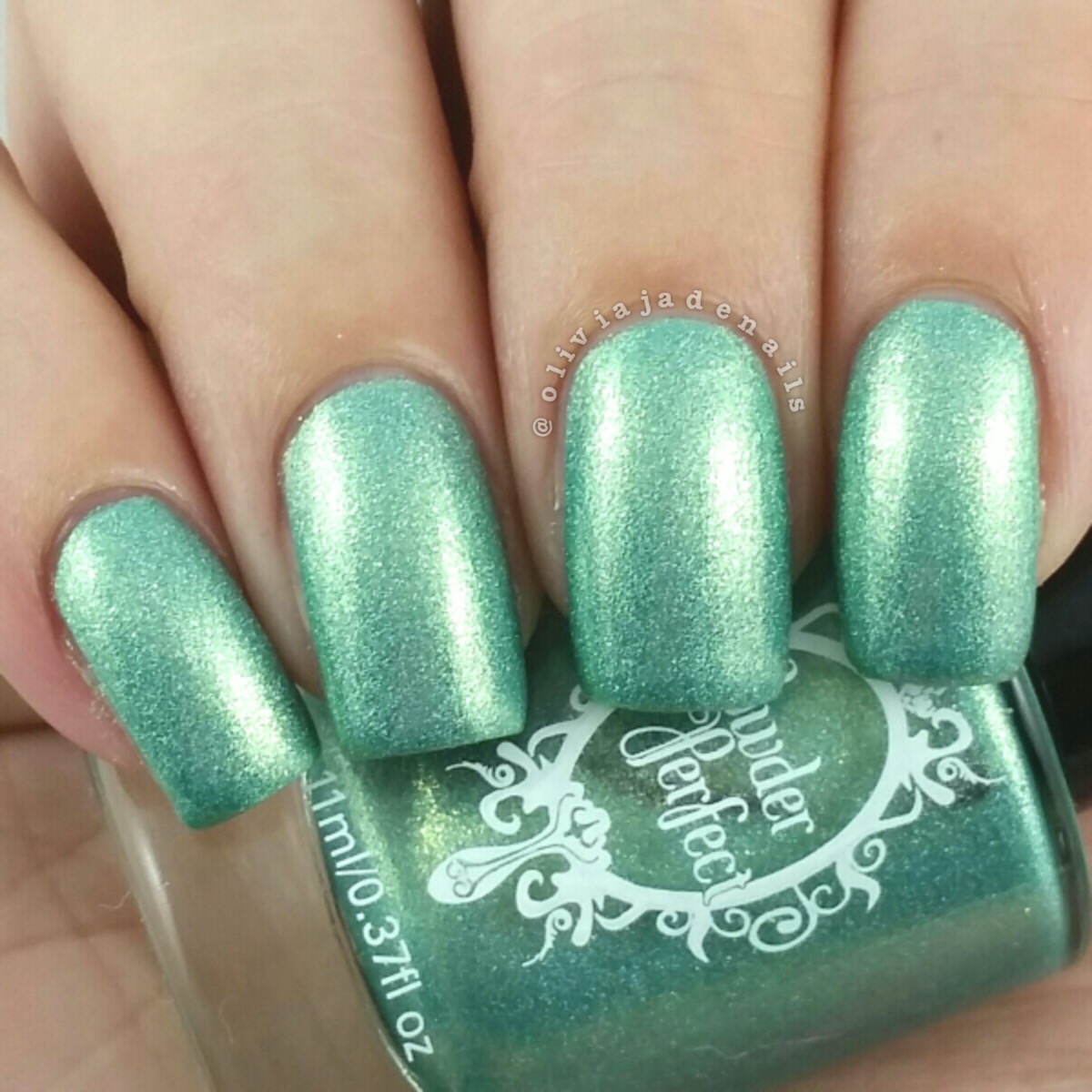 Powder Perfect Hazel Twig swatched by Olivia Jade Nails