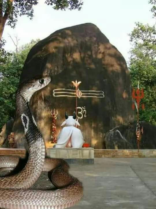 12 jyotirlinga photo with name