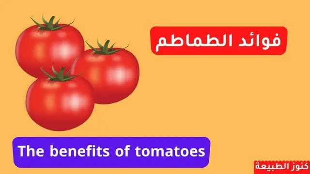 فوائد الطماطم : اهم 6 فوائد صحية للطماطم