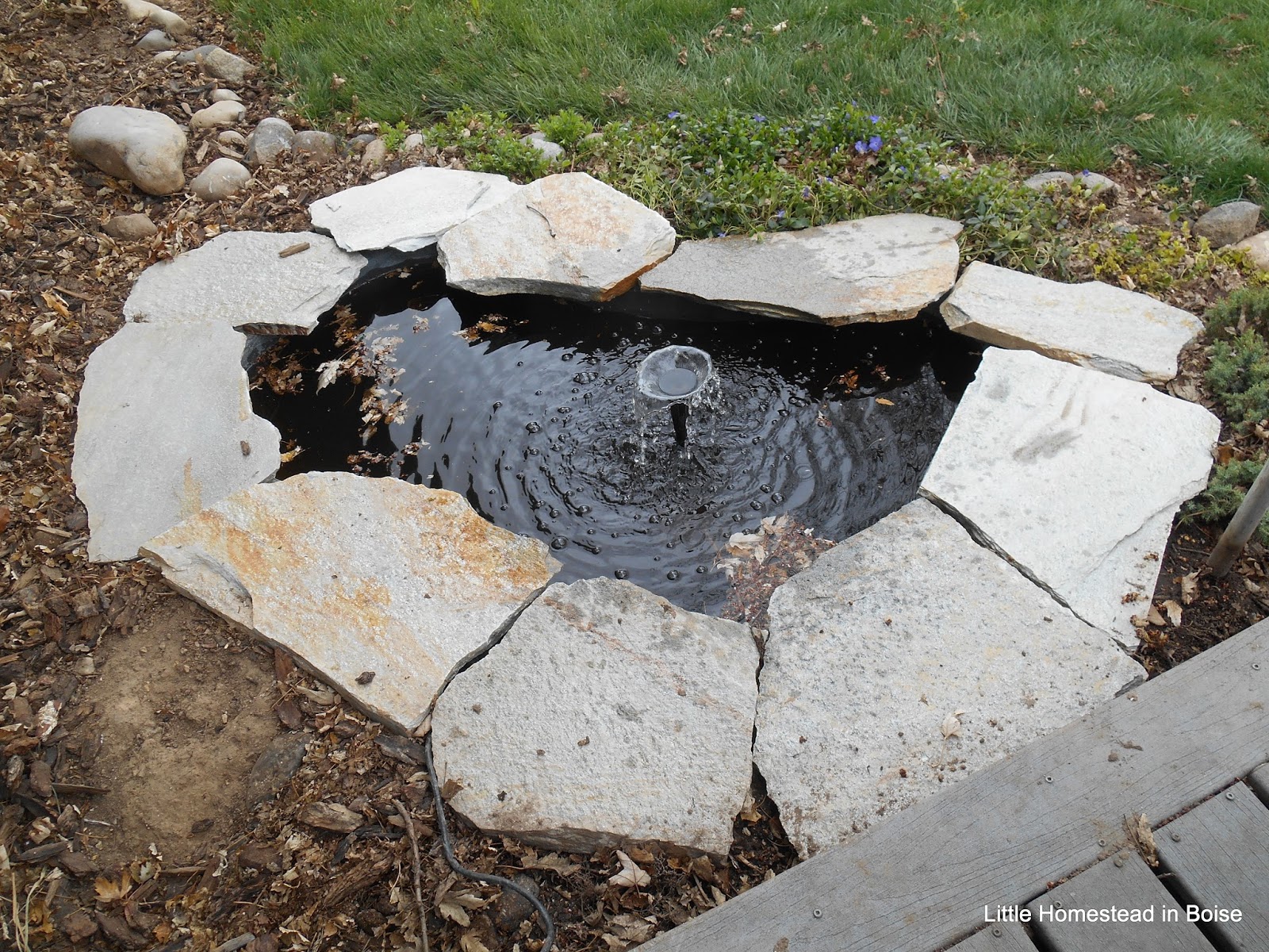Little Homestead In Boise Meaty Pasta Sauce, DIY Flagstone Pond