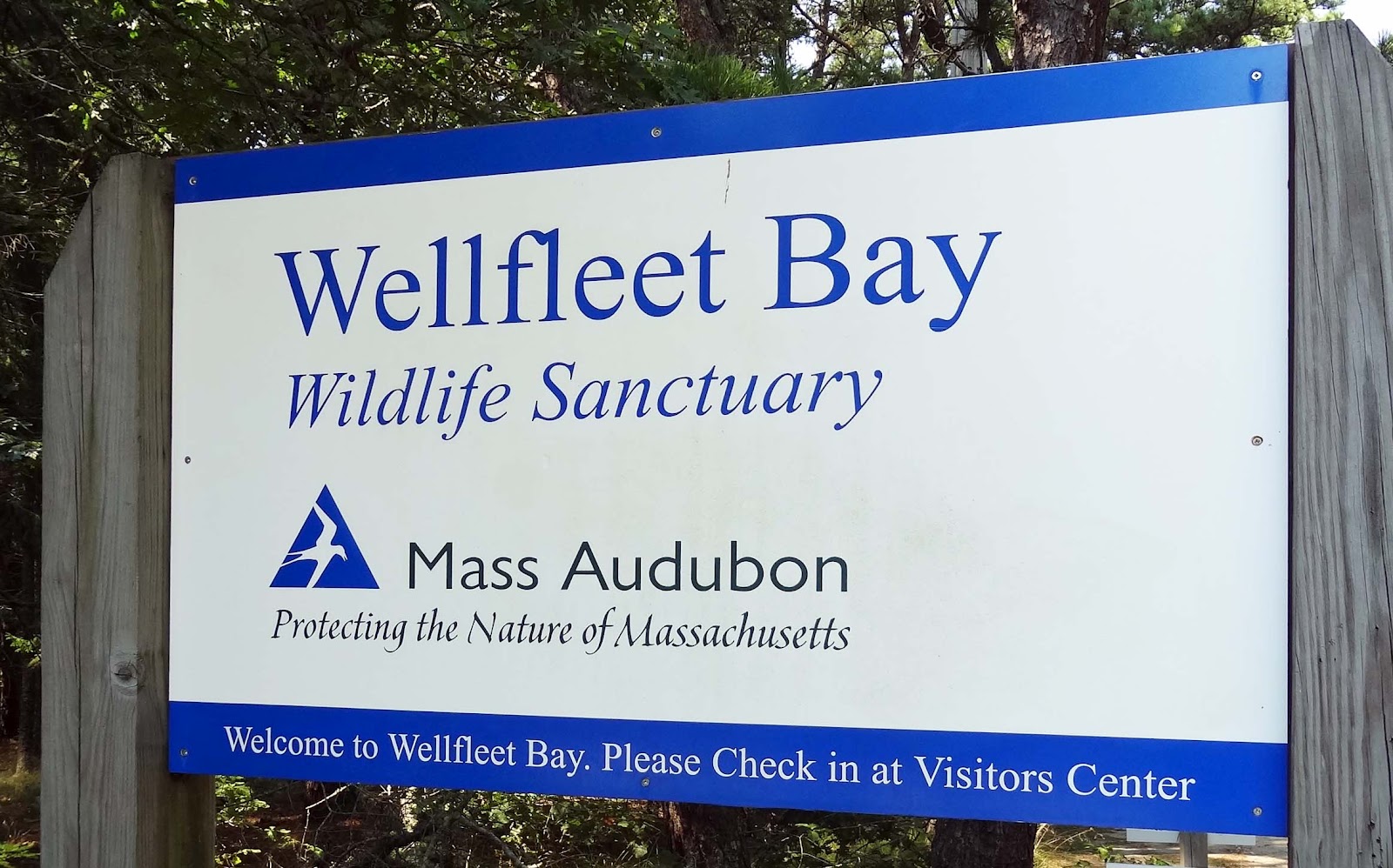 Joe's Retirement Blog Massachusetts Audubon Wellfleet Bay Wildlife
