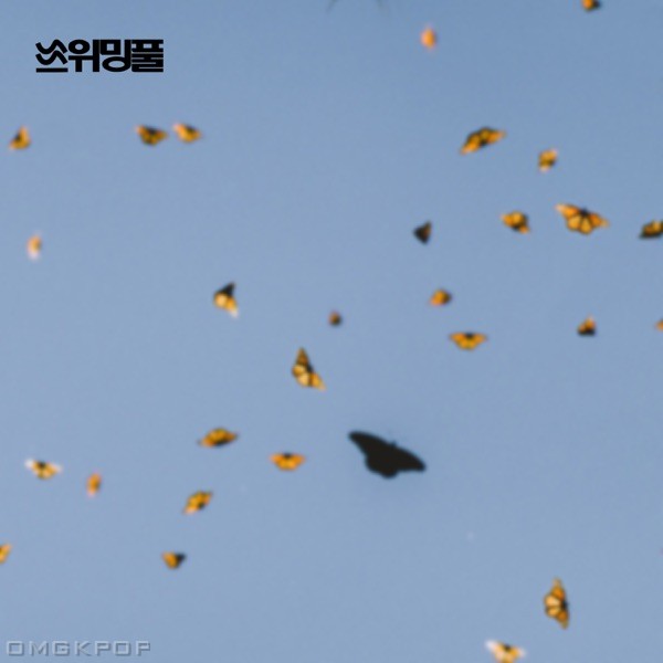 Swimming Pool – Nothing matters – Single