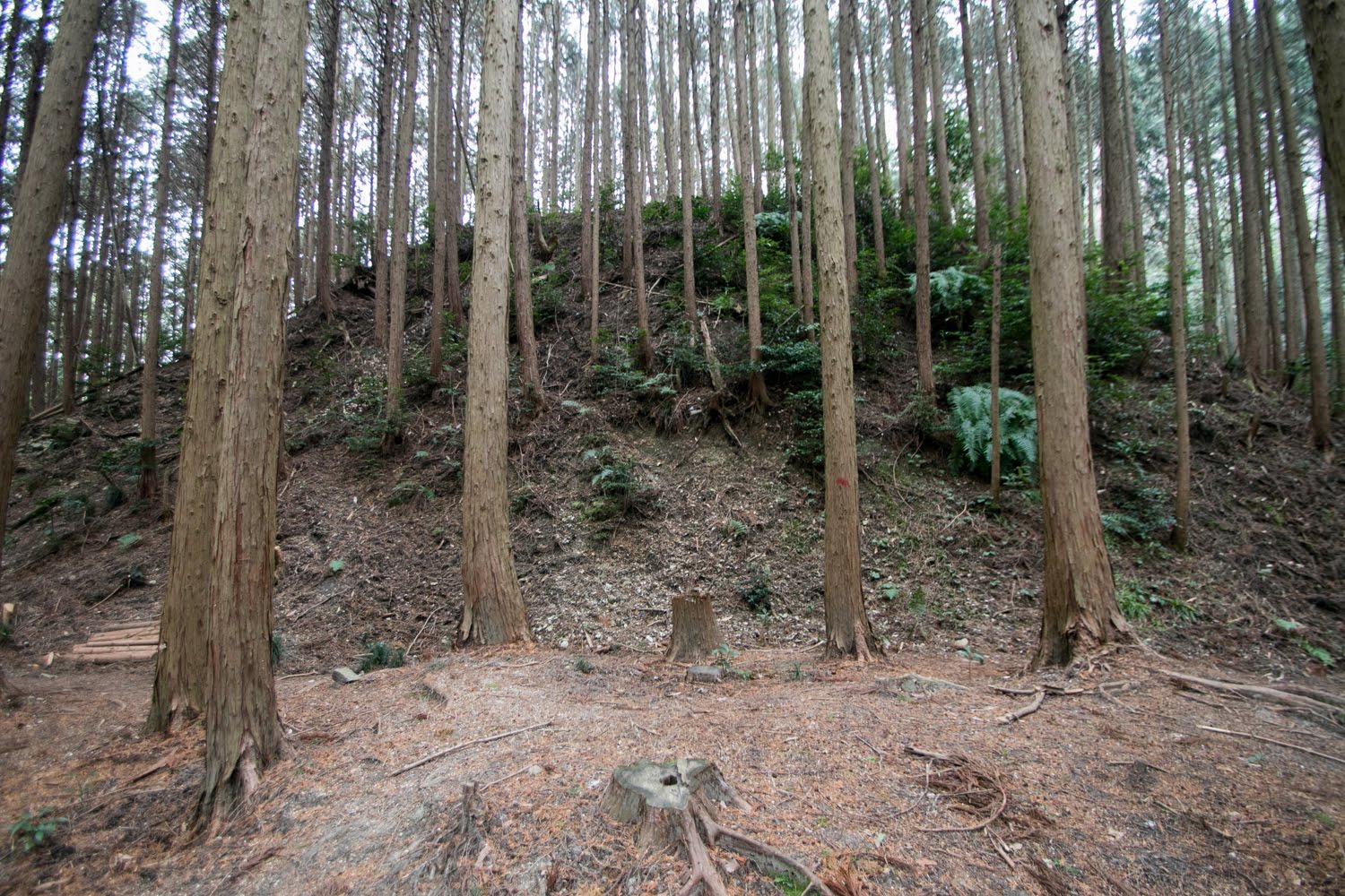 Shigisan Castle The most notorious bandit in Sengoku era Japan
