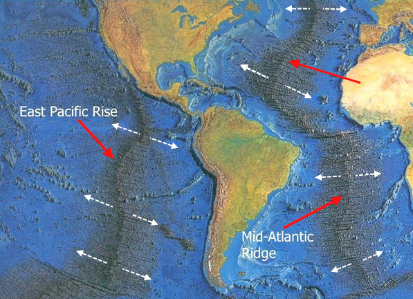 East Pacific Rise and Mid-Atlantic Ridge Only Farallon remnants are subduct...