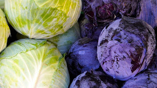 Cabbage is Among Nature's Super Foods To Lose Weight and Fight Diseases
