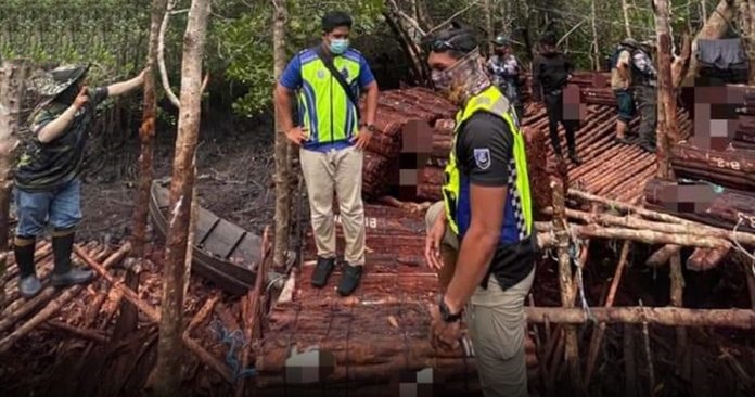 PPM Kudat rampas kulit kayu tangar bernilai RM420,000