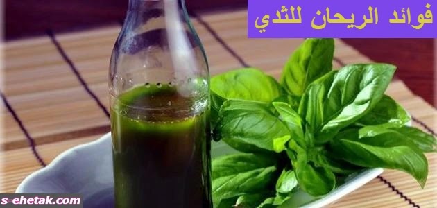 فوائد الريحان للثدي