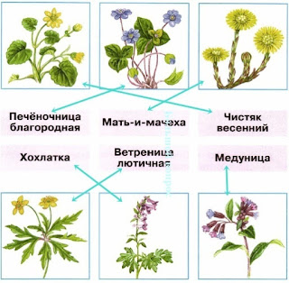 Почему кола выполнял требования короля в сказке кола рыба коротко %25D0%2592%25D0%25B5%25D1%2581%25D0%25BD%25D0%25B01