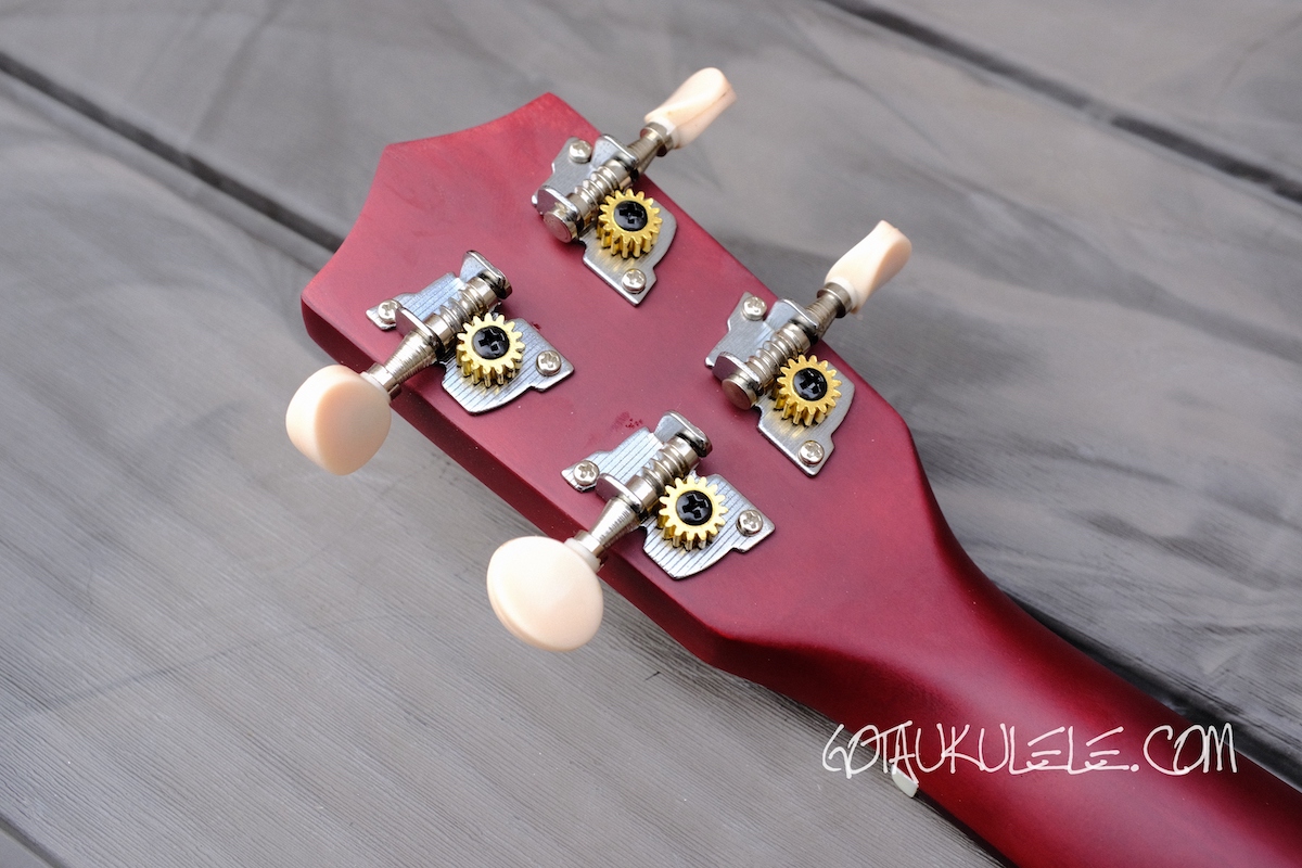 Everjoys / Eco Soprano Ukulele Beginner Pack (Rainbow) REVIEW