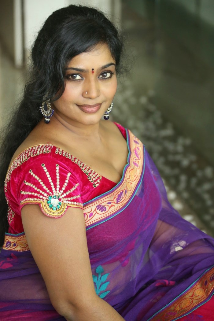 Actress Jayavani Hot Stills In Saree  Telugu Actress Hd -4318
