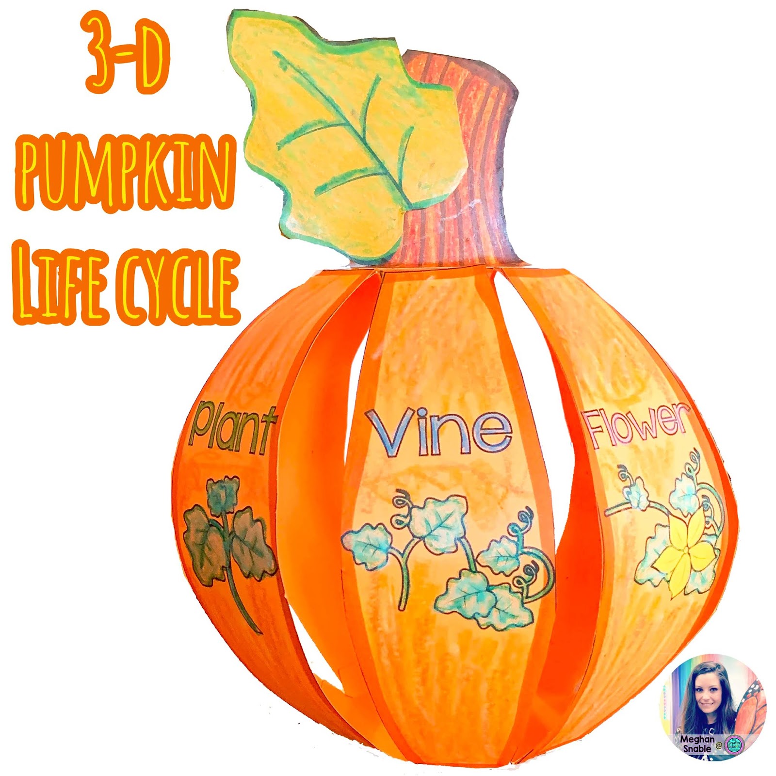 3-d-pumpkin-life-cycle-fall-activities-pumpkin-life-cycle-life