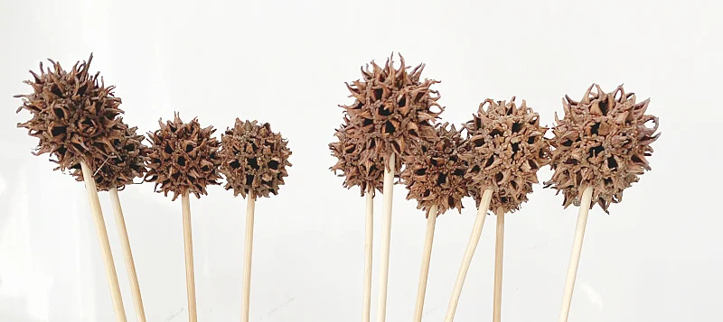 sweet gum balls for crafts