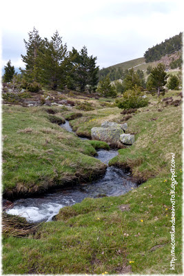 Lagunas de Neila