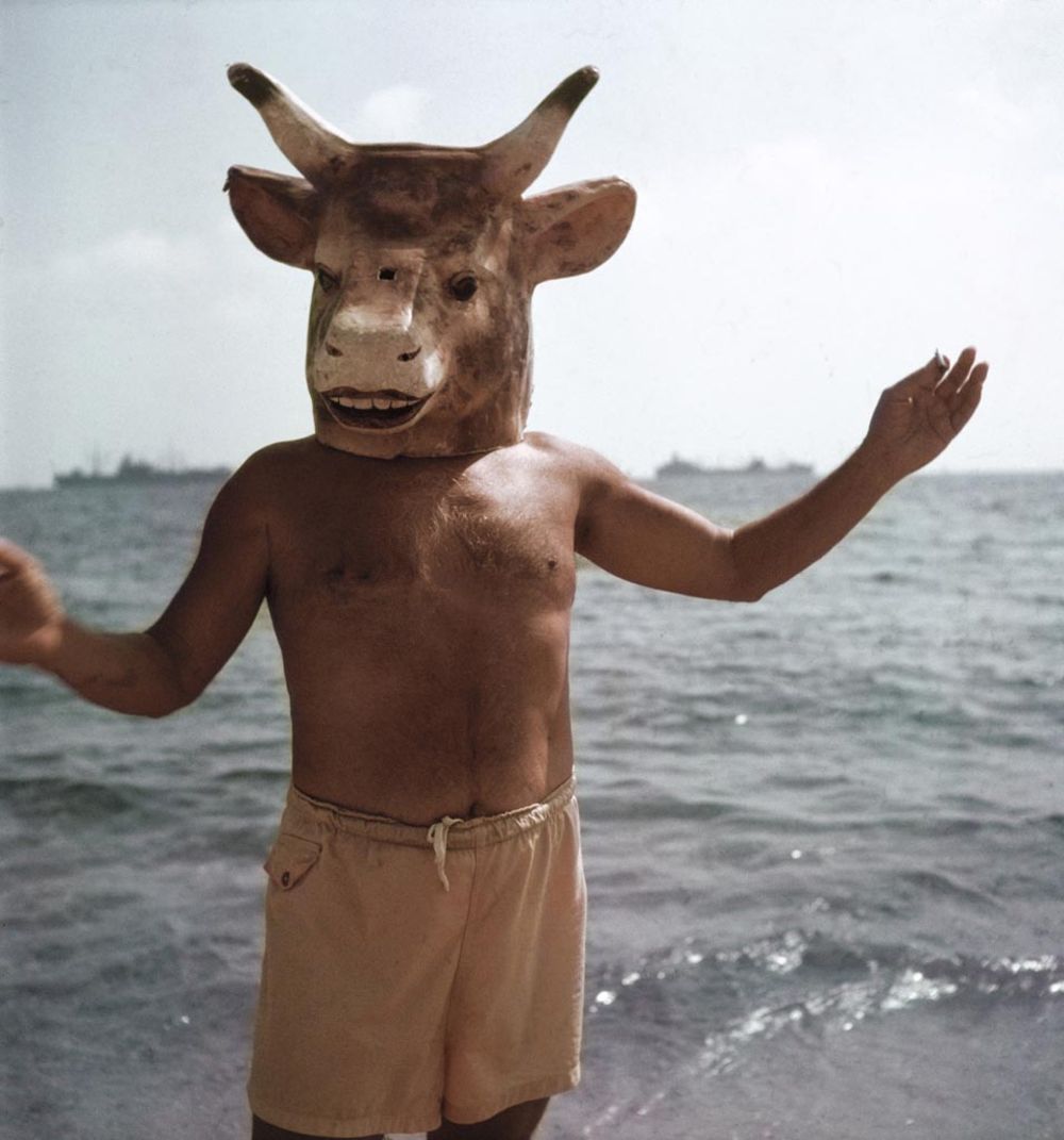 Half Man, Half Bull Ridiculously Interesting Photos of Pablo Picasso