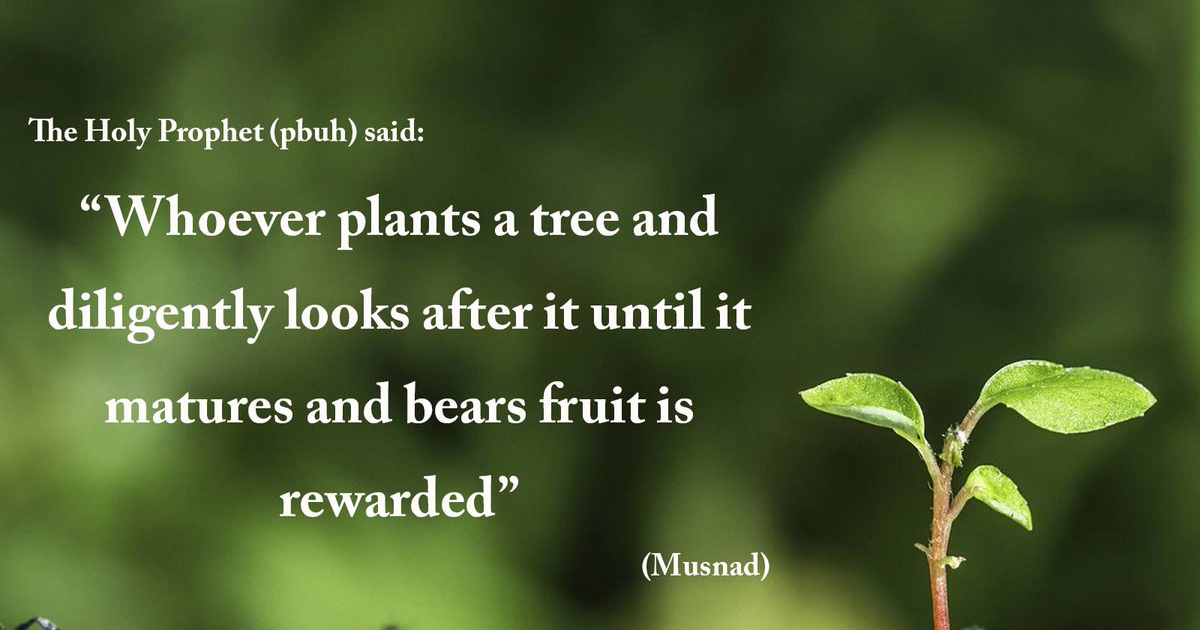 Importance of tree planting in Islam
