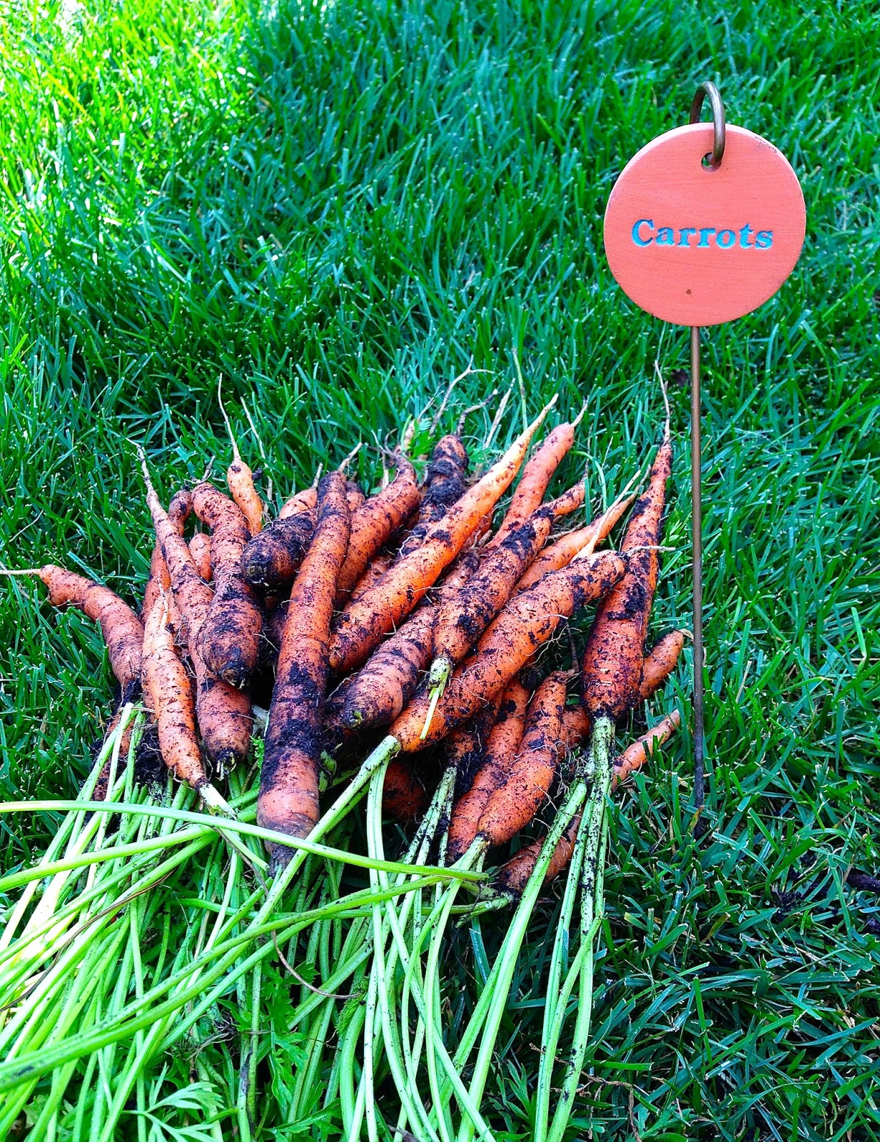 Palau Chess 1636 Cm Joselito Marcos New P N G National