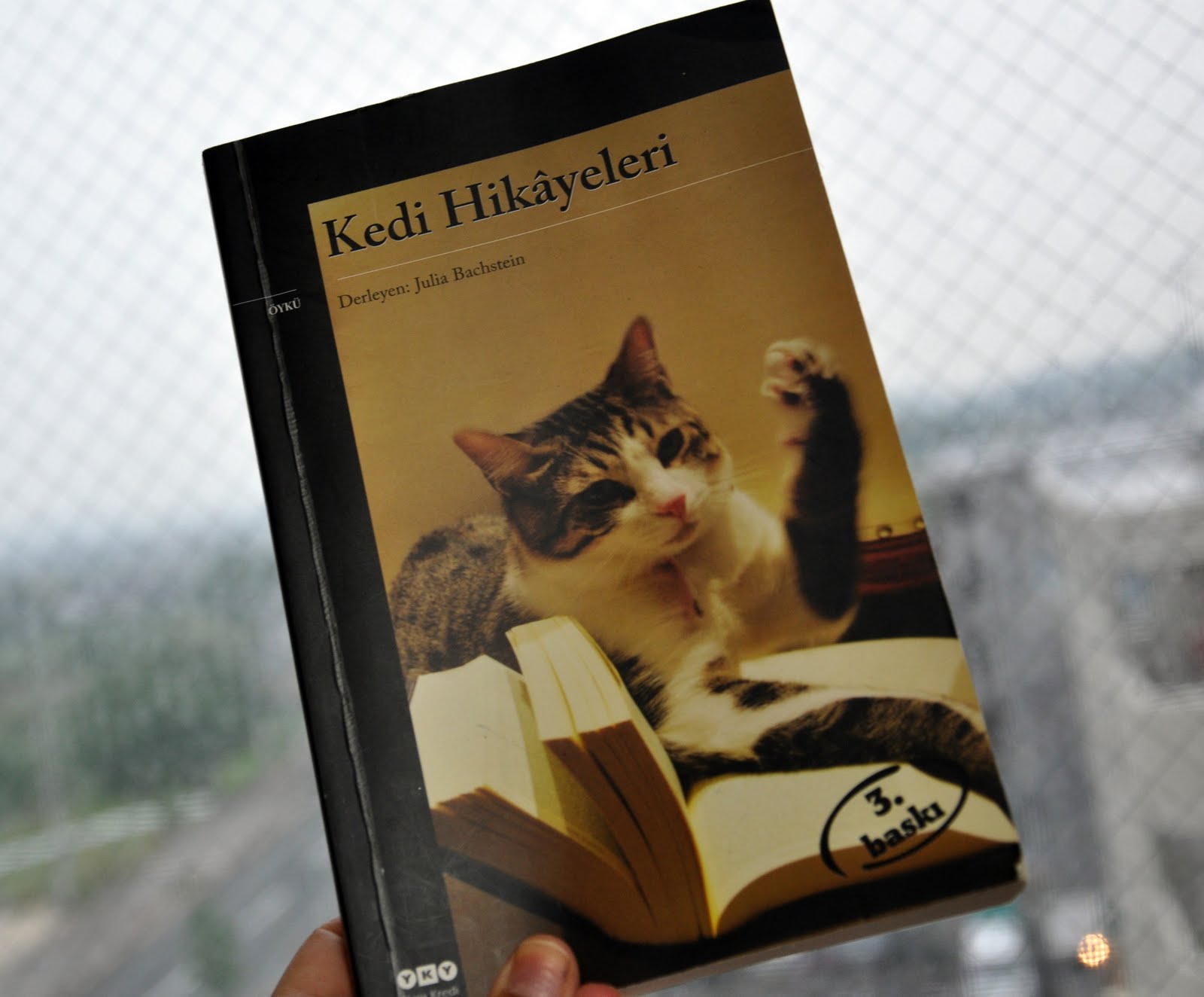 Yolun Neresindeyim? Kedi Hikayeleri