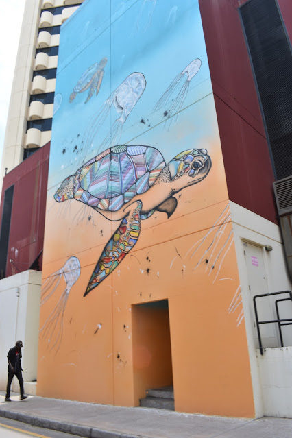 Darwin Street Art | Hafleg