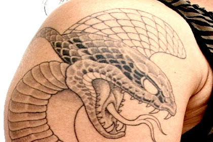 Top 41 Best Snake Arm Tattoo Ideas
