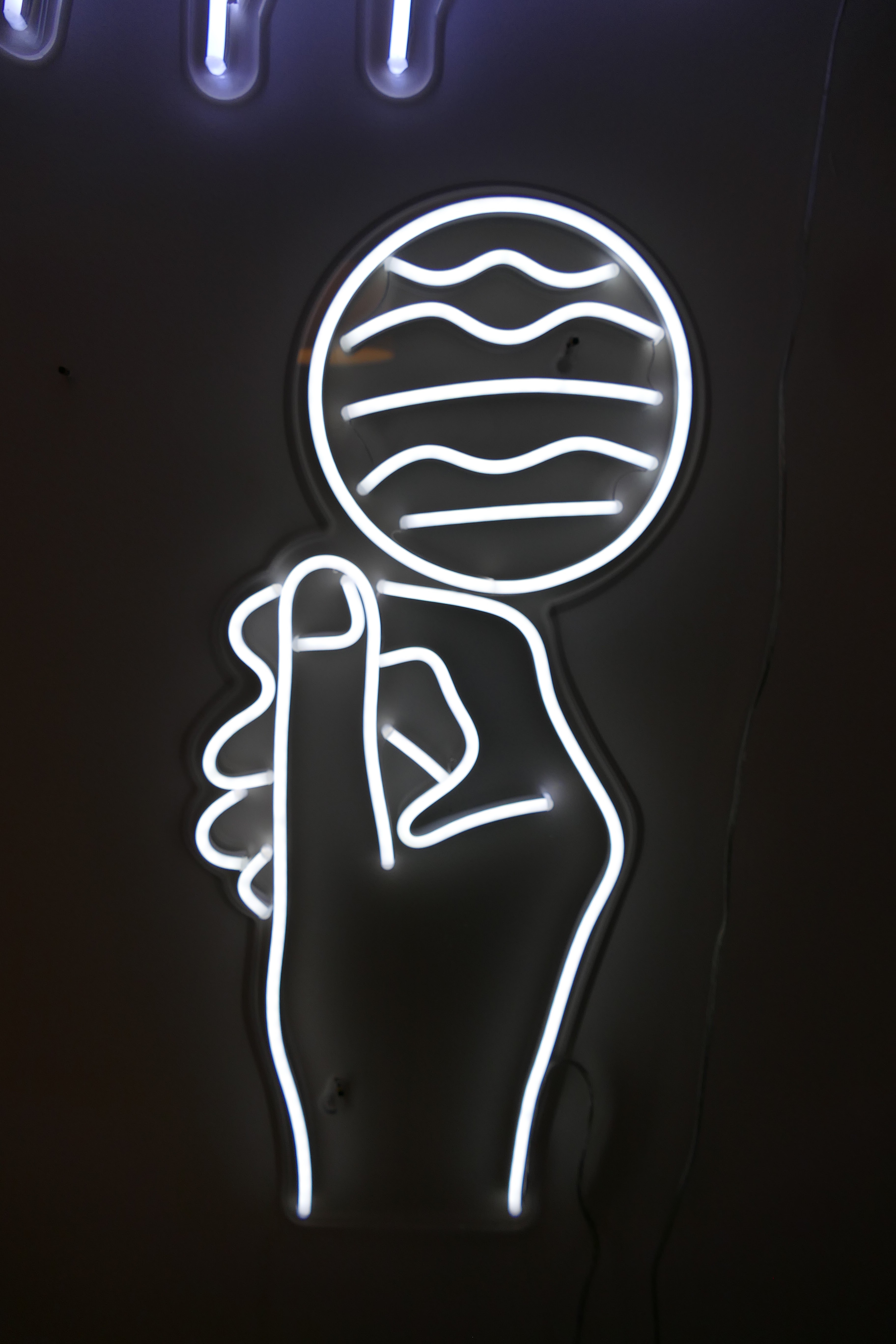 Best Neon Lights To Get For Your Home Neon Vibes Review fantail flo