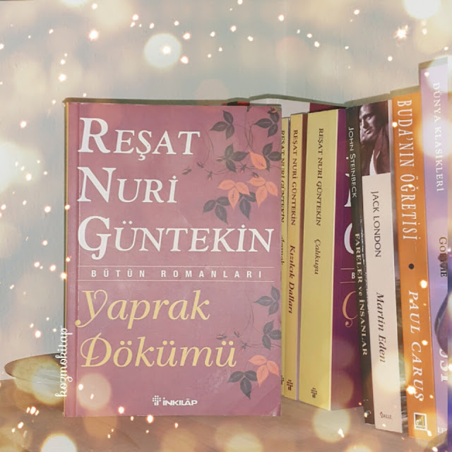 Yaprak Dökümü - Reşat Nuri Güntekin 