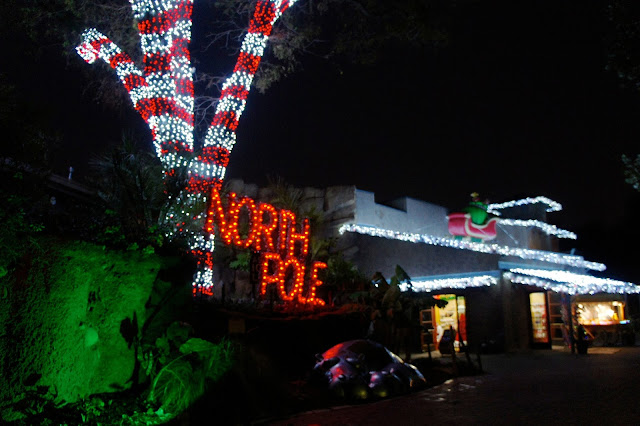 Photos from the San Antonio Zoo, Zoo Lights, Holiday Nights 