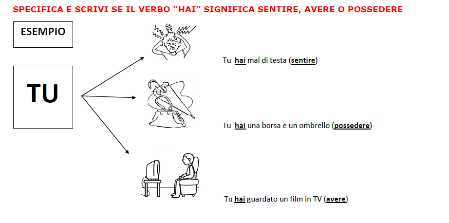 Guamodi Scuola Quattro Fascicoli Con Schede Ortografiche Da Scaricare Per Primaria E Secondaria Di I Grado