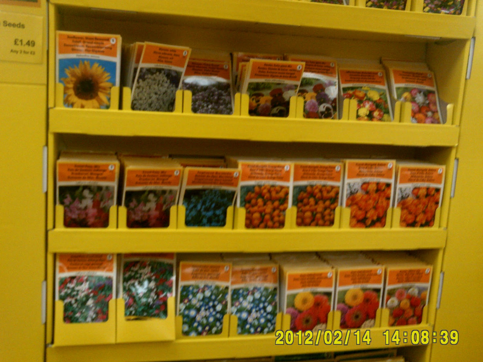 Allotment 2011 LIDL flowers and veg seeds.