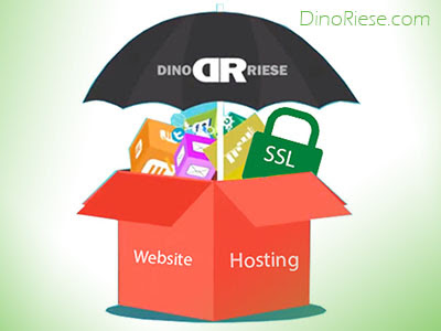 "Website hosting" written on a box, with various items inside it including a briefcase stating "SSL," covered by an umbrella with the Dino Riese logo | DinoRiese.com