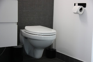 Seinä-wc soft close kannella on loistava ratkaisu wc.pöntöksi.