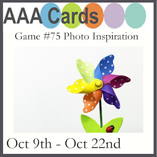 http://aaacards.blogspot.com/2016/10/game-75-photo-inspiration.html