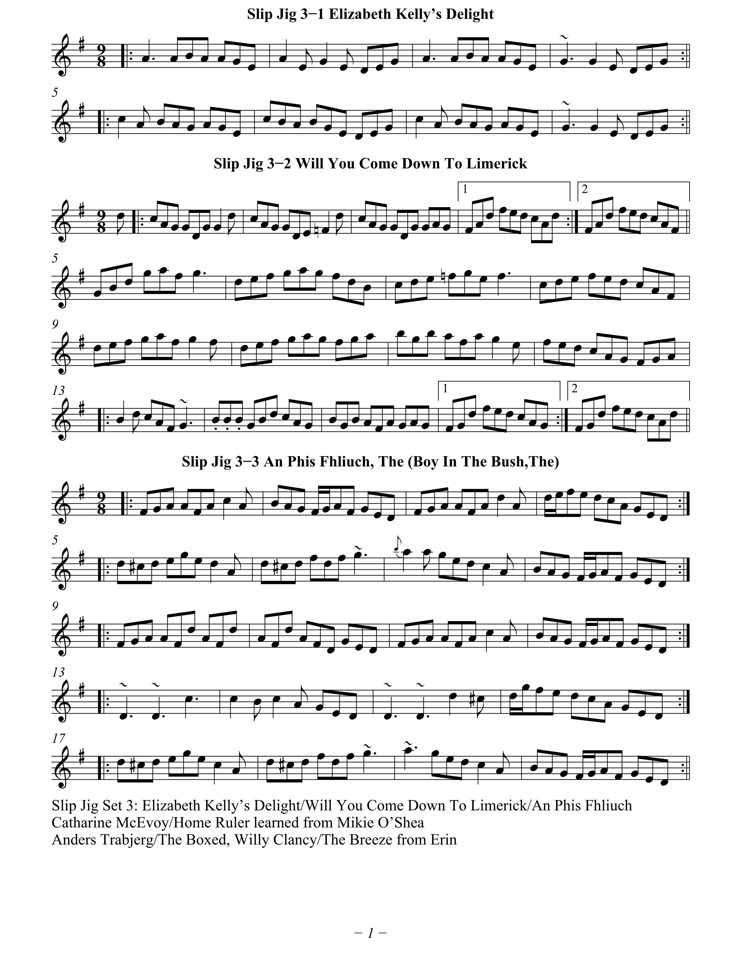 [Tunes] Slip Jig Set3 Elizabeth Kelly’s Delight/ Will You Come Down