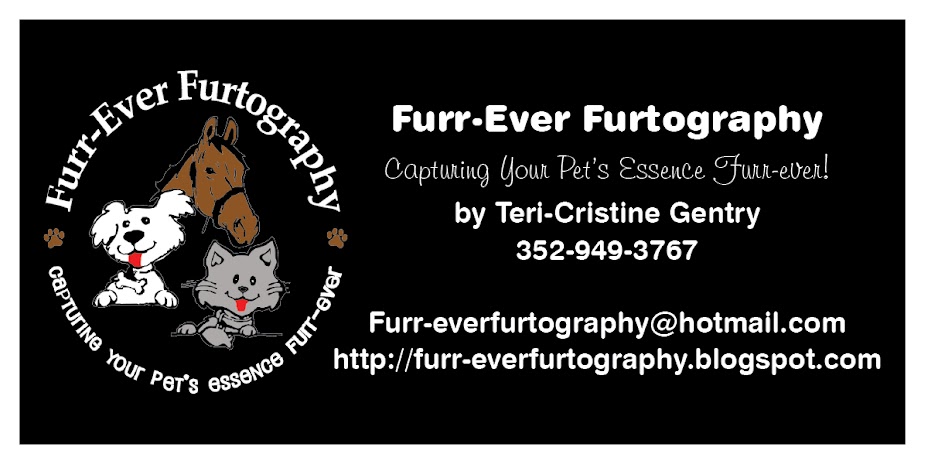 Furr-Ever Furtography