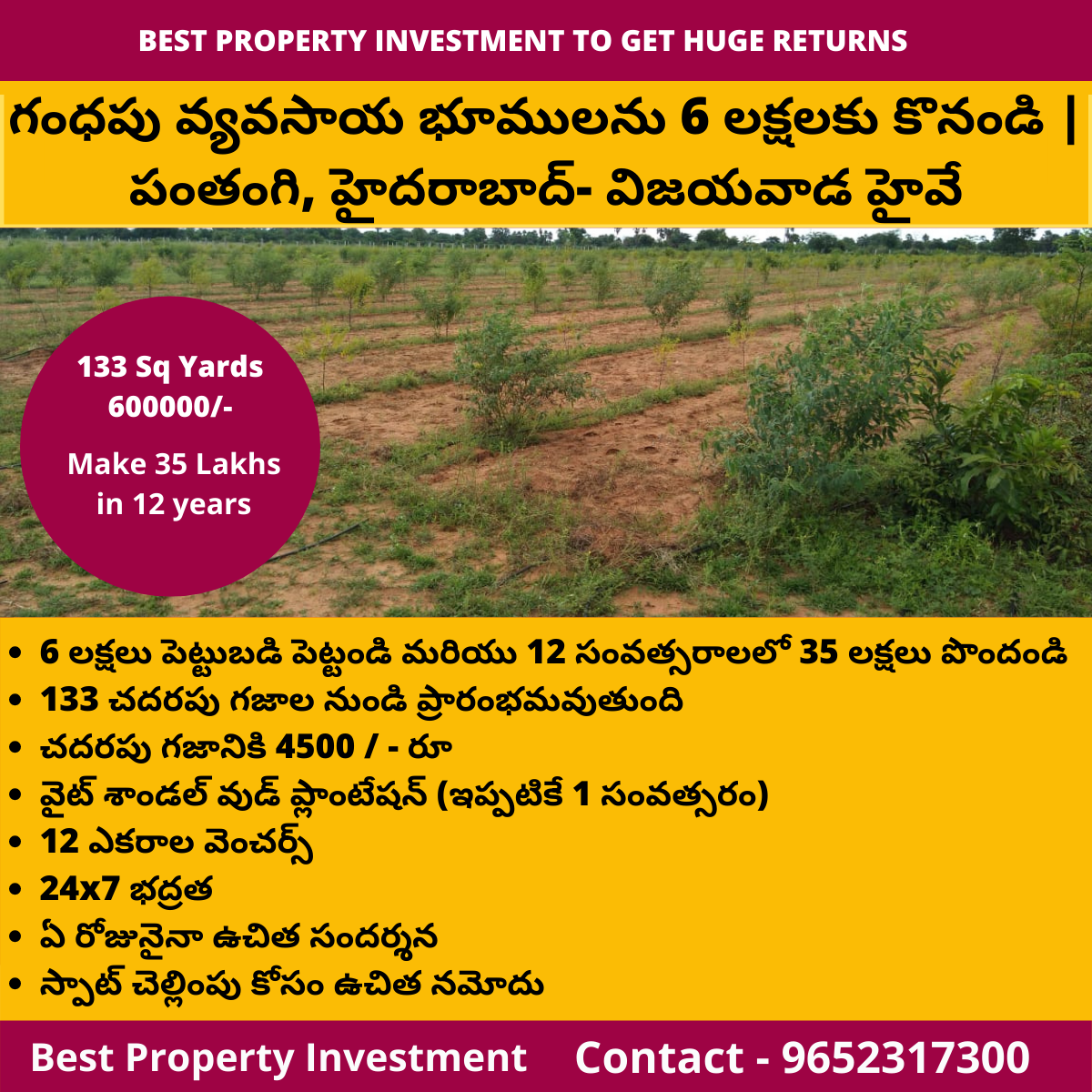 Farm Land for 6 Lakhs, Sandalwood Plantation, Panthangi ...