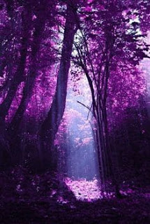 purple forest creepypasta hutan ungu