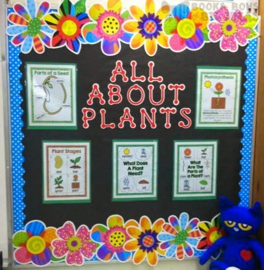 Books, Bows and Big Ideas: Peek at My Week: Plants